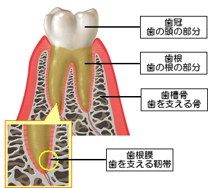 各部位の説明